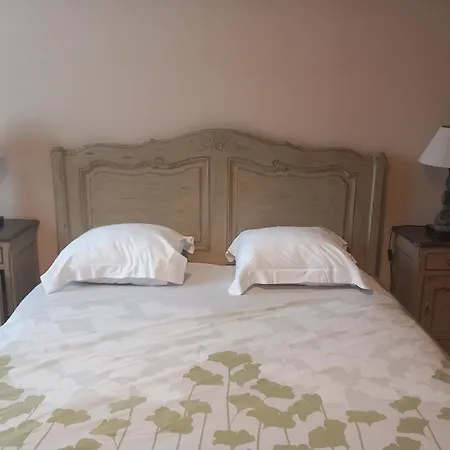 Les Rainettes * Coye-la-Forêt